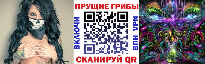 продажа наркотиков Михайловка Галлюциногенные грибы прущие грибы